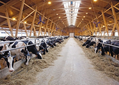 Очистные сооружения животноводческих ферм и комплексов